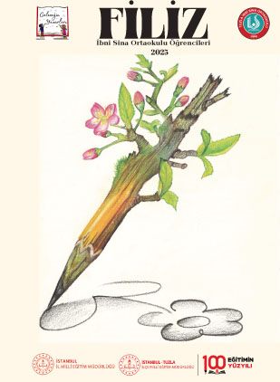 İBNİ SİNA ORTAOKULU