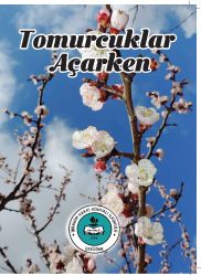 ibrahim hakkı konyali